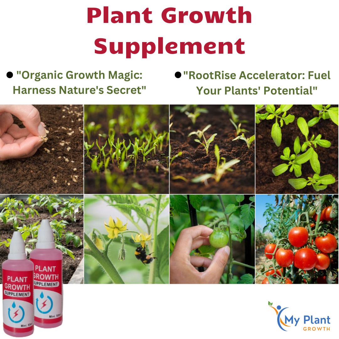 PLANT GROWTH ENHANCER SUPPLEMENT (PACK OF 3)