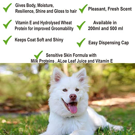 Anti-Itch Dog Shampoo Pack of 1