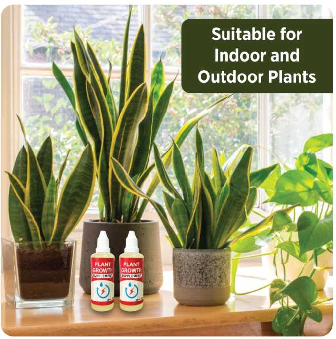 PLANT GROWTH ENHANCER SUPPLEMENT (PACK OF 3)
