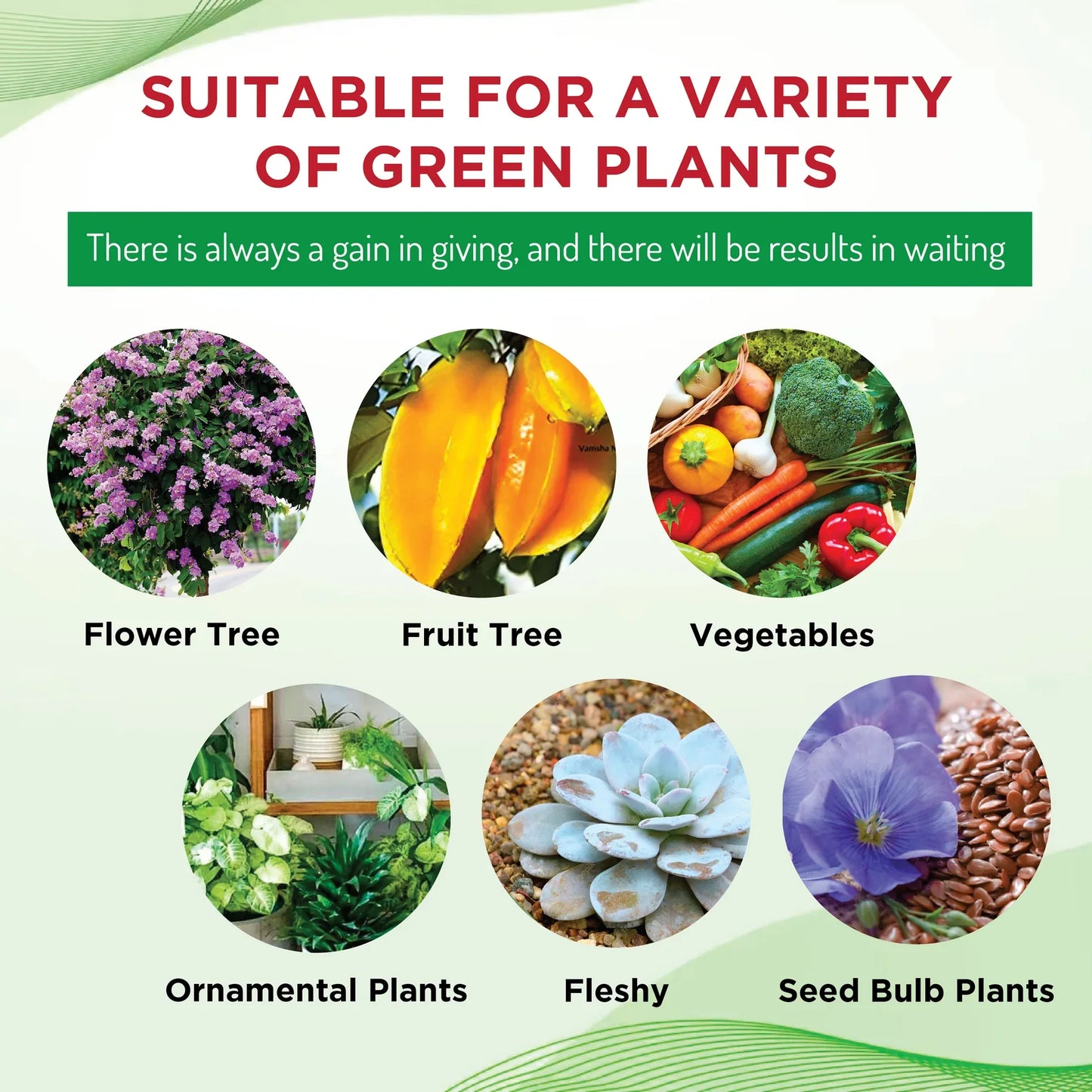 PLANT GROWTH ENHANCER SUPPLEMENT (PACK OF 3)