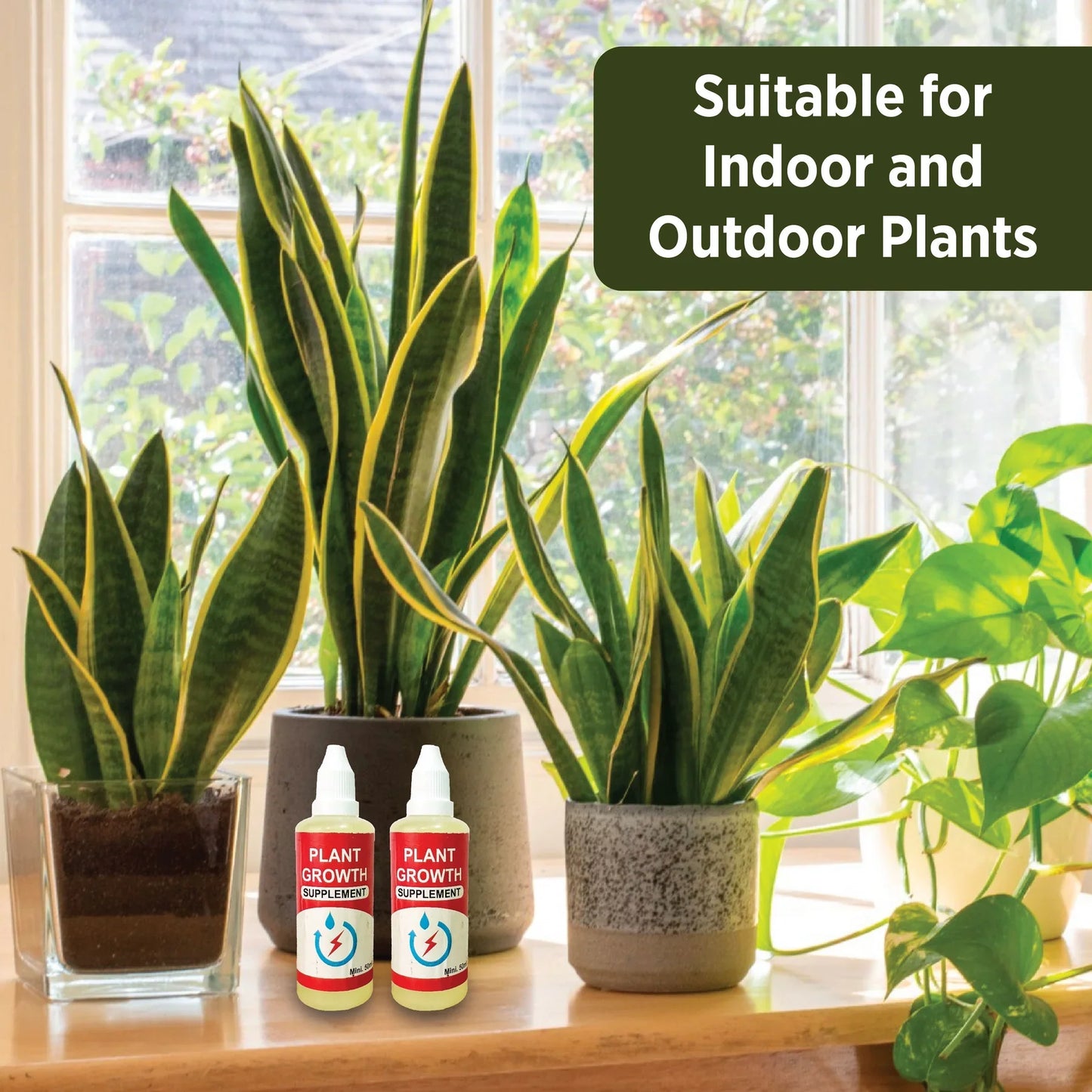 PLANT GROWTH ENHANCER SUPPLEMENT (PACK OF 3)