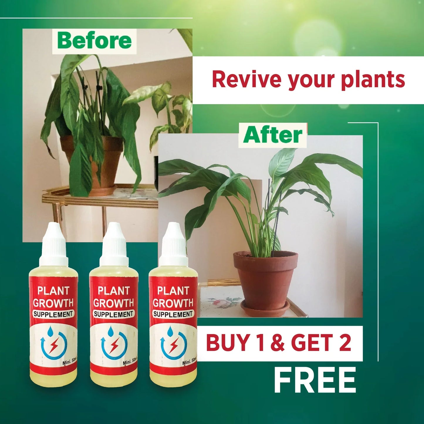PLANT GROWTH ENHANCER SUPPLEMENT (PACK OF 3)