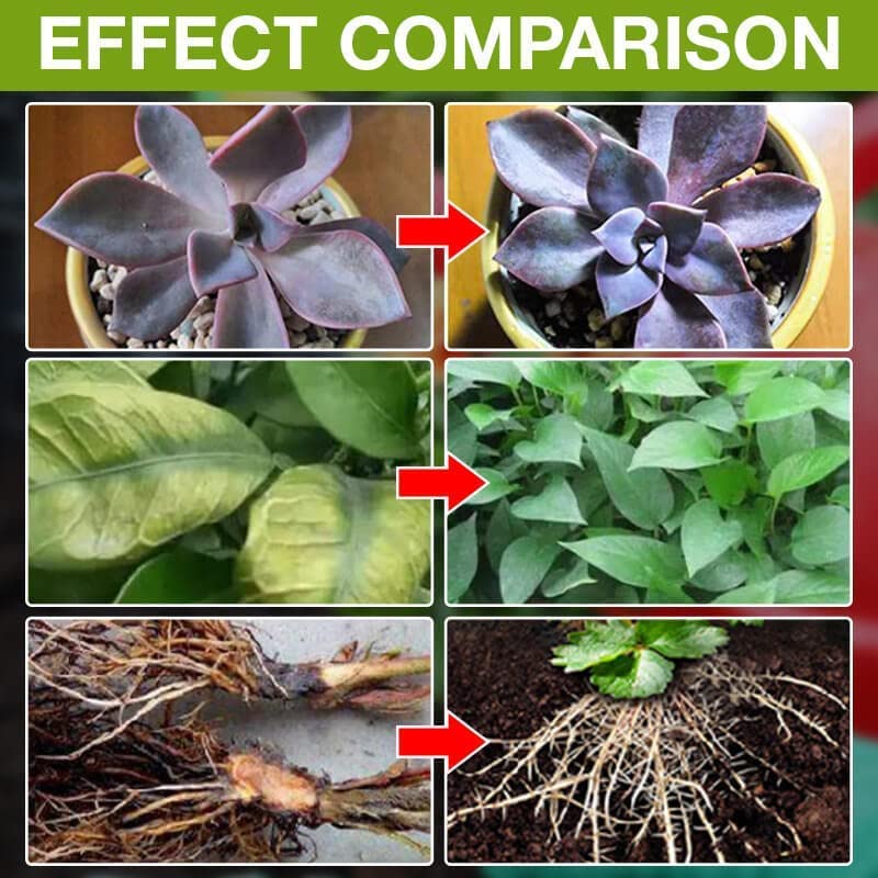 PLANT GROWTH ENHANCER SUPPLEMENT (PACK OF 3)
