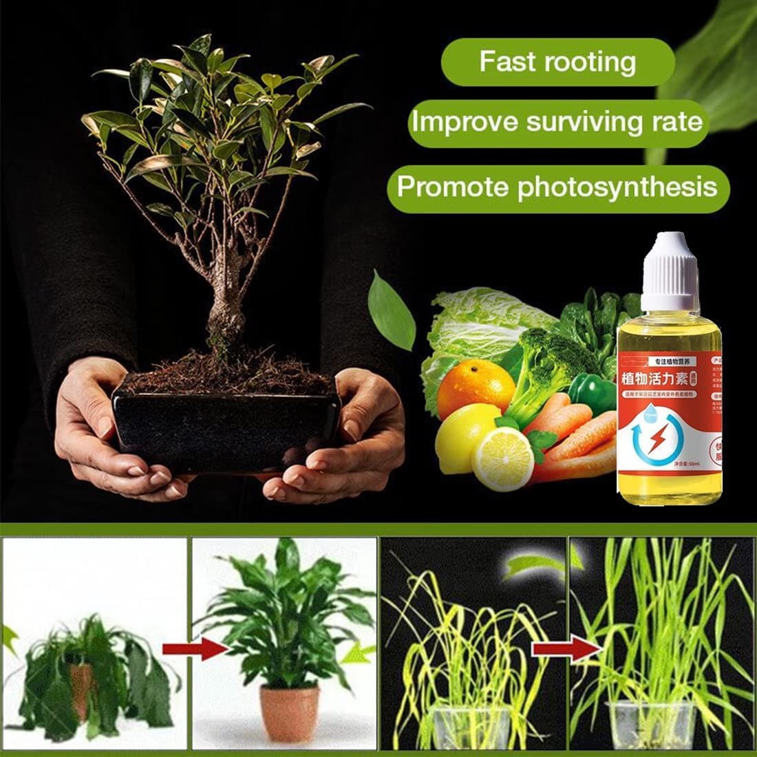 PLANT GROWTH ENHANCER SUPPLEMENT (PACK OF 3)